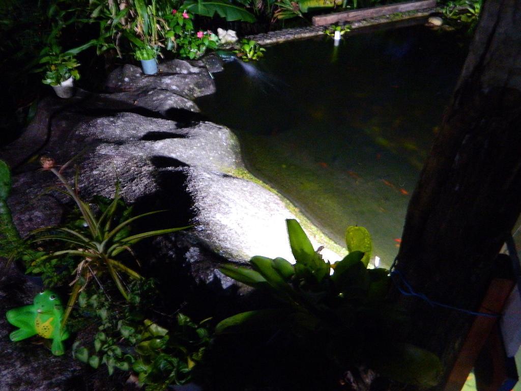 招待所 Bicho Do Mato Guapimirim
